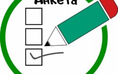 anketa_130422