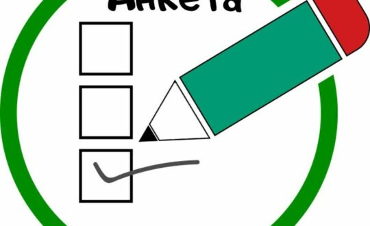 anketa_130422